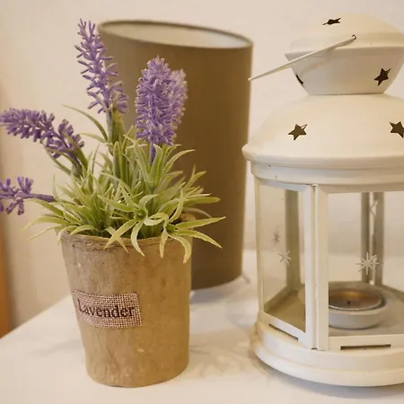 - Sobe Tiha Luka, * بيلاسنيكا